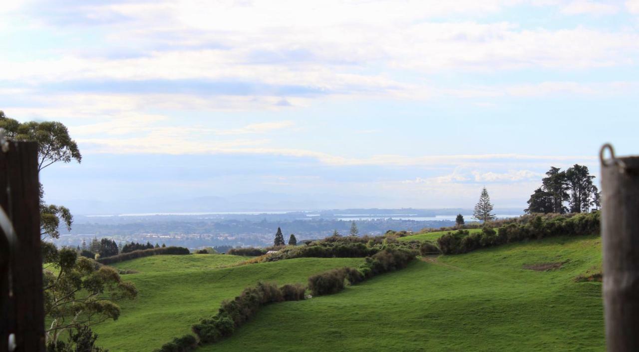 Arohanui Rural Retreat B&B Tauranga Extérieur photo