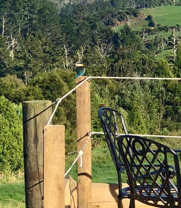 Arohanui Rural Retreat B&B Tauranga Extérieur photo