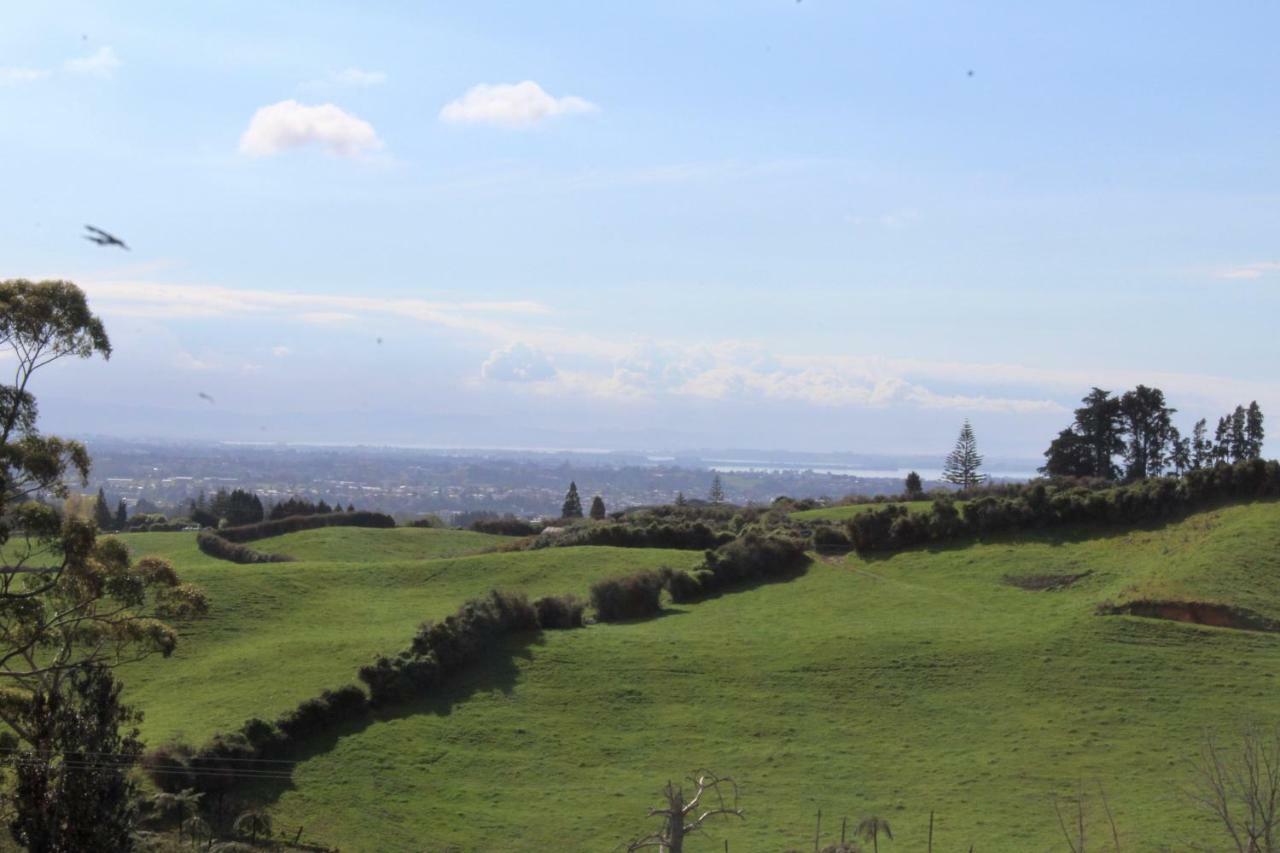 Arohanui Rural Retreat B&B Tauranga Extérieur photo